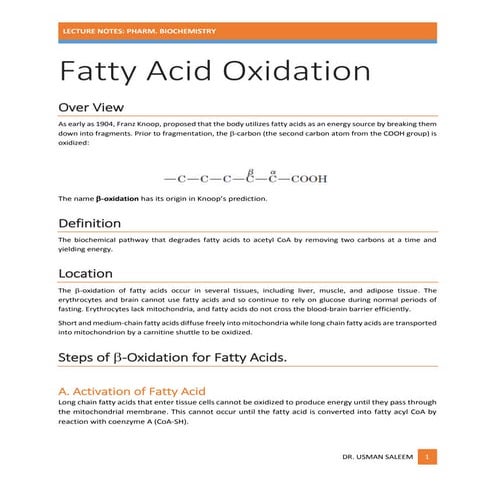 Lipid catabolism (fatty acid oxidation)