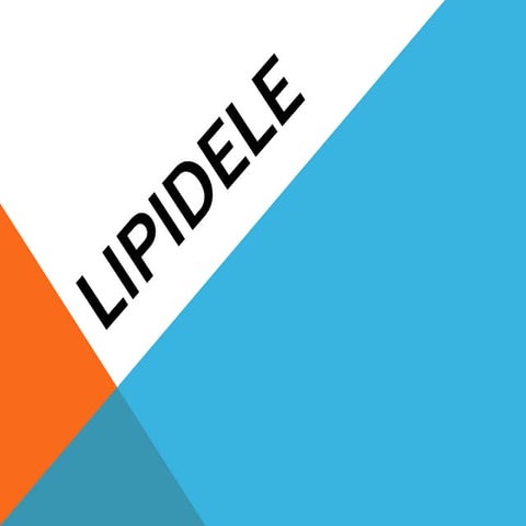 lipidele.pptx