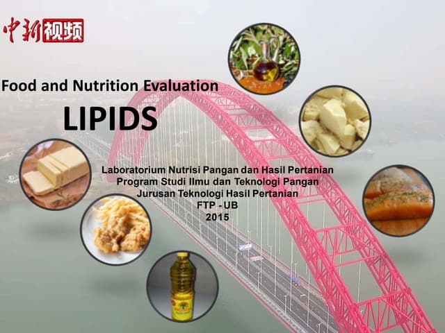 Lipid Evaluation (FTP UB)