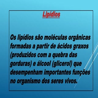 Lipidios
