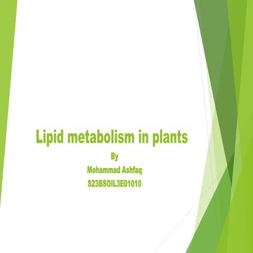 Lipid metabolism in plants.pptx
