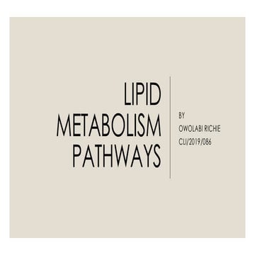 Comprehensive Overview of Fat Metabolism Pathways and Lipoprotein ...