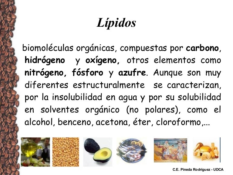 Lipidos Lipidos