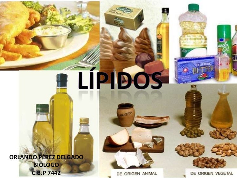 Lipidos