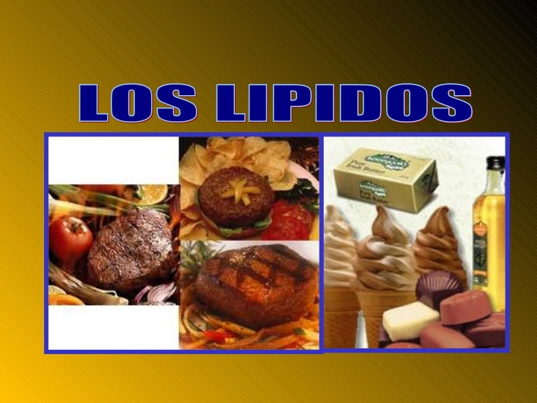 lipidos alimentos lipidos lipidos alimentos lipidos