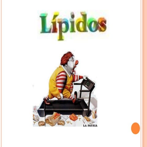 Lipidos