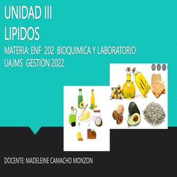 LIPIDOS.pptx