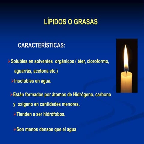Lipidos 2 1