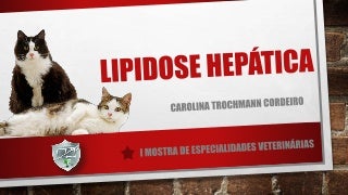 lipidoseheptica-170527195247-thumbnail-3.jpg