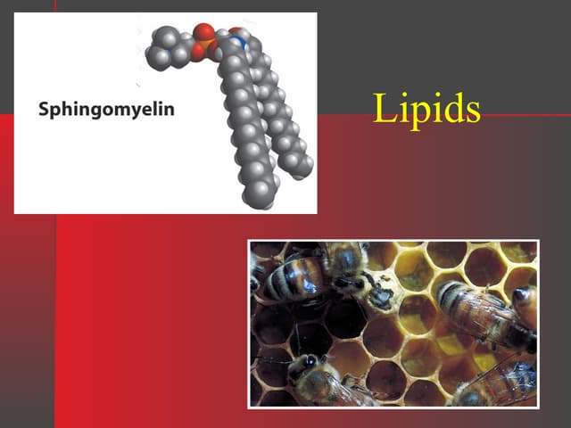 Classification of lipids according to chemical structure | PPTX
