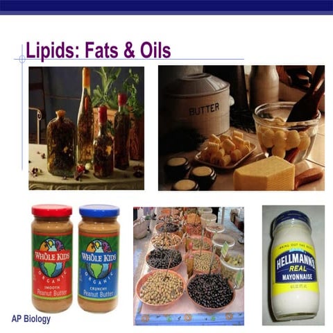 Lipids