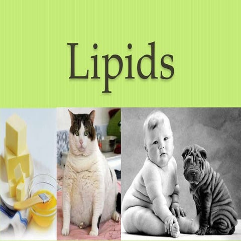 Lipids.pptx