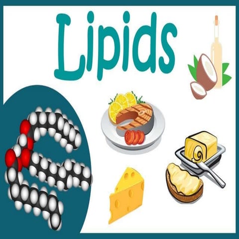 LIPIDS CONTAINING CRUDE DRUGS FROM PLANTS AND ANIMALS.pptx