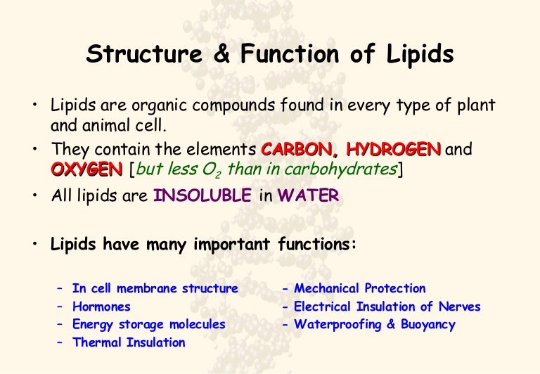 Lipids