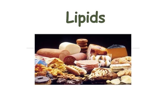Examples Of Lipids In Food 750x371