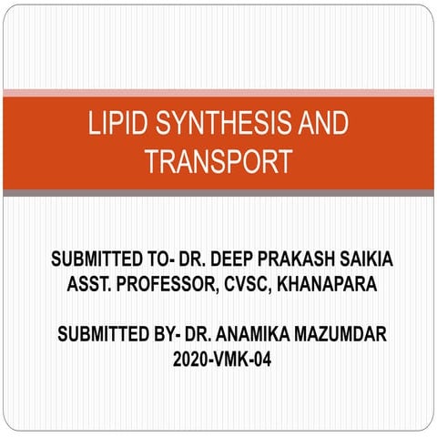 Lipid synthesis and transport