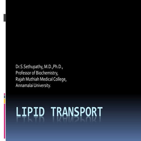 Lipid transport 2020