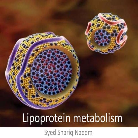 Lipoprotein metabolism, Shariq
