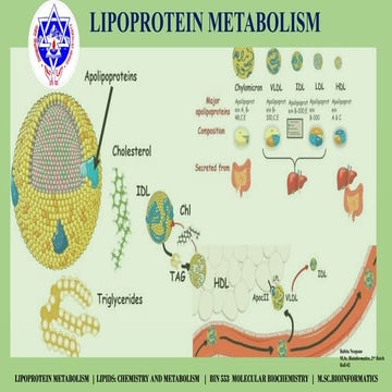Overview of Lipoprotein Metabolism and Lipid Transport Mechanisms | PPTX