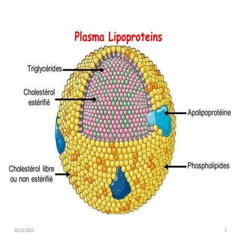 Lipoproteins metabolism.pptx biochemistry