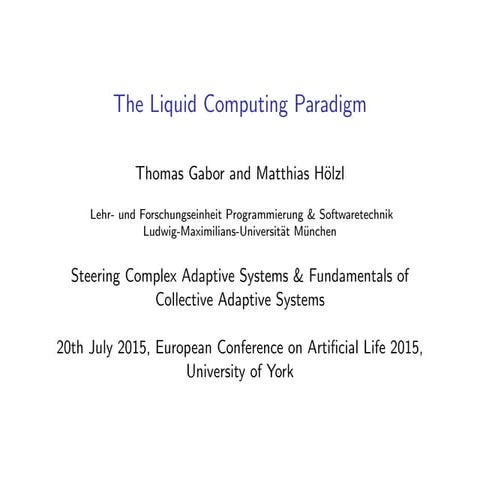The Liquid Computing Paradigm