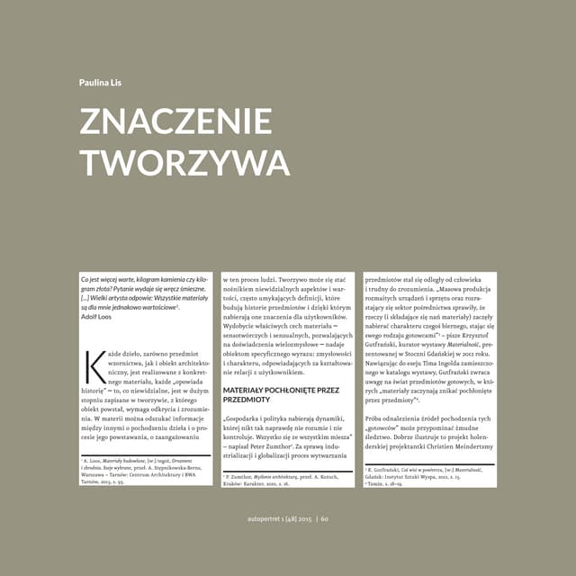 Paulina Lis, Znaczenie tworzywa