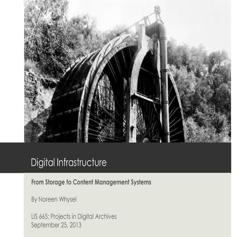 Digital Infrastructure: Storage and Content Management