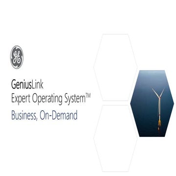 Expert Operating System: Business On-Demand