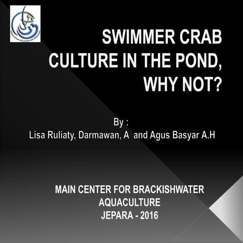 swimmer crab culture in the pond