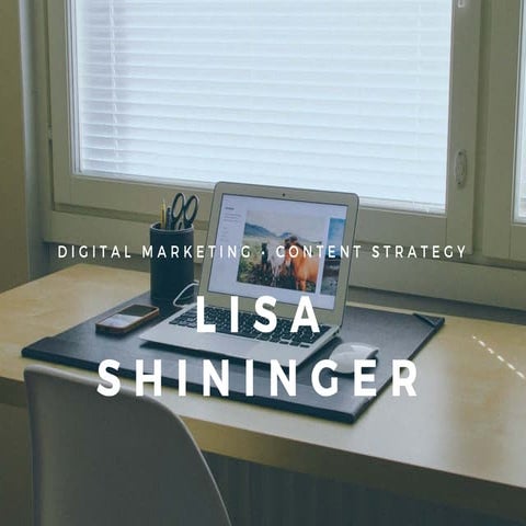 Lisa Shininger: Digital Marketing Lessons