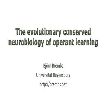 The evolutionary conserved neurobiology of operant learning