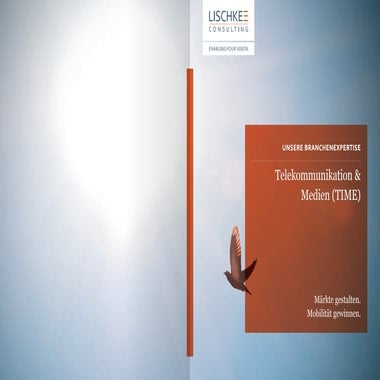 Telco & Media @ Lischke Consulting