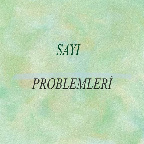 LİSE - SAYI PROBLEMLERİ