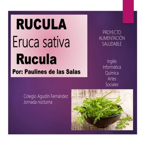 RUGULA | PPTX