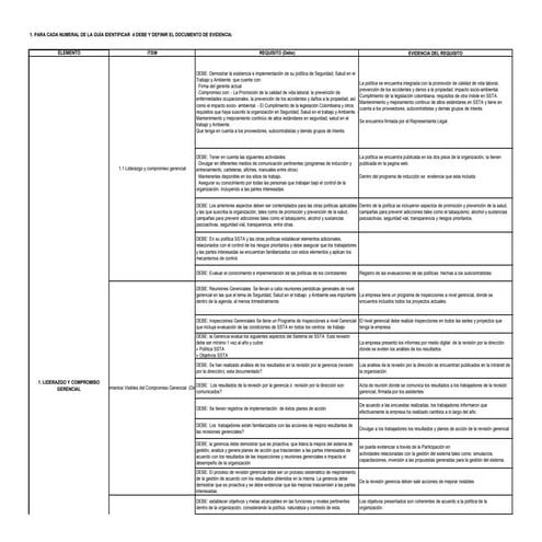 Lista de chequeo ruc | PDF