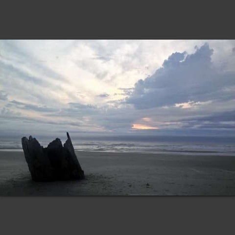 Beach lot! Priced to sell!