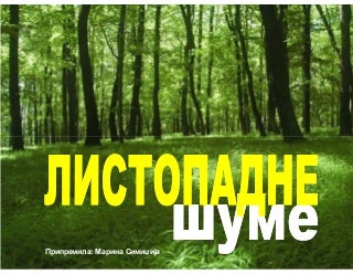 Listopadne šume - biljke