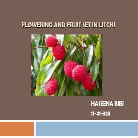 Flowering and Fruit sett in Litchi