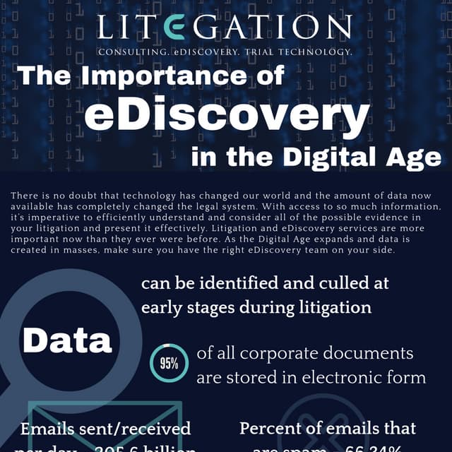 Litegation infographic