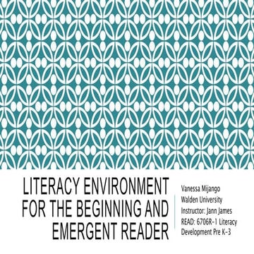 Literacy environment for the beginning and emergent reader