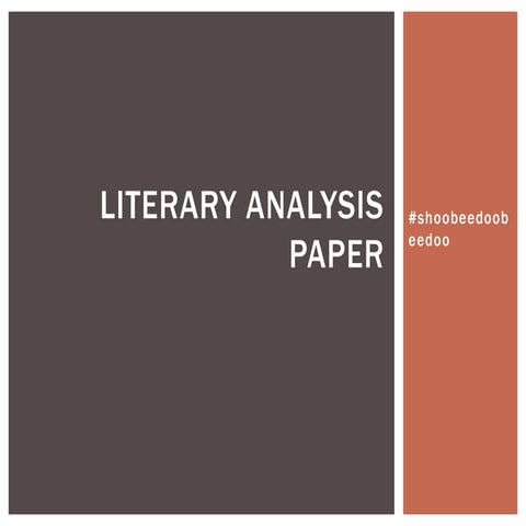 Literary analysis paper