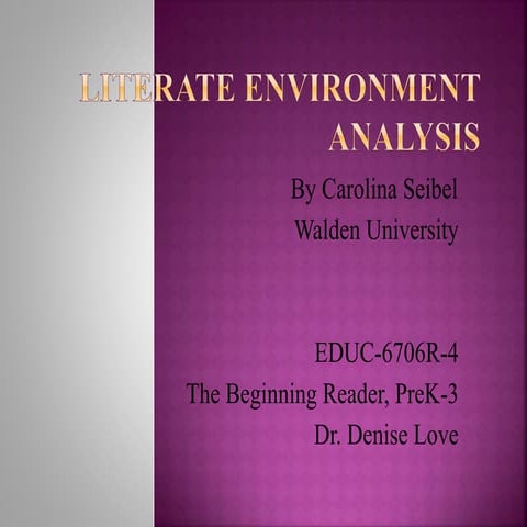 Literate Environment Analysis