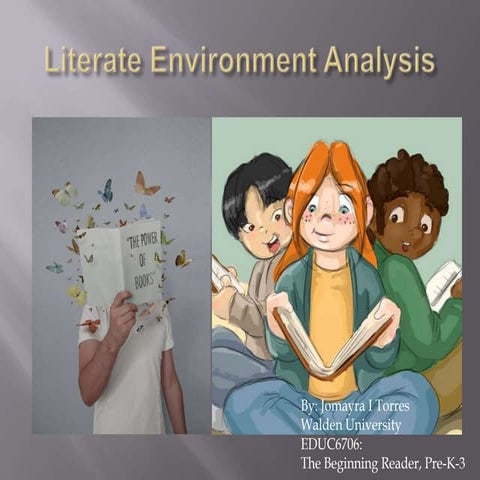 Literate environment analysis