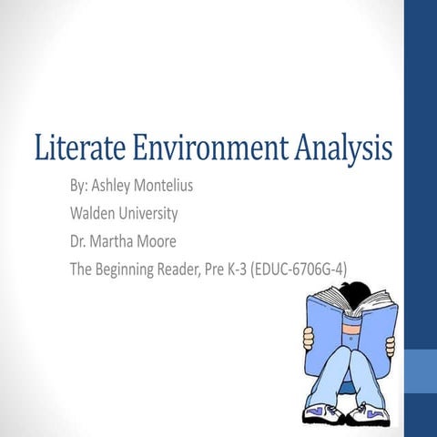 Literate environment analysis