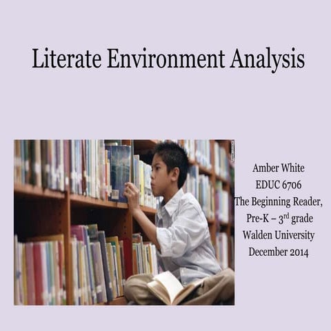 Literate environment analysis