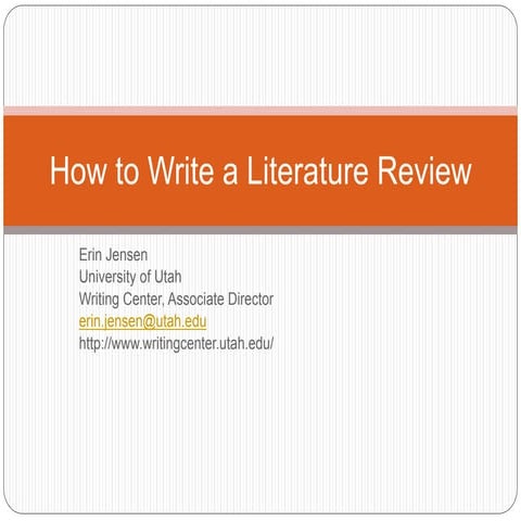 Literature review