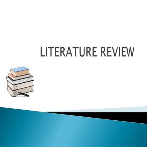 Literature review