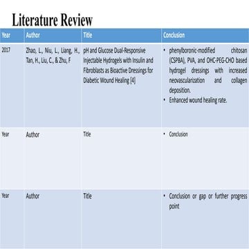 Literature Review.pptx