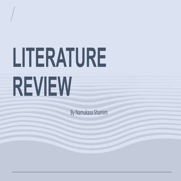 LITERATURE REVIEW.pdf