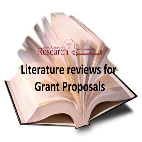 Literature Review for Research Grants 2009